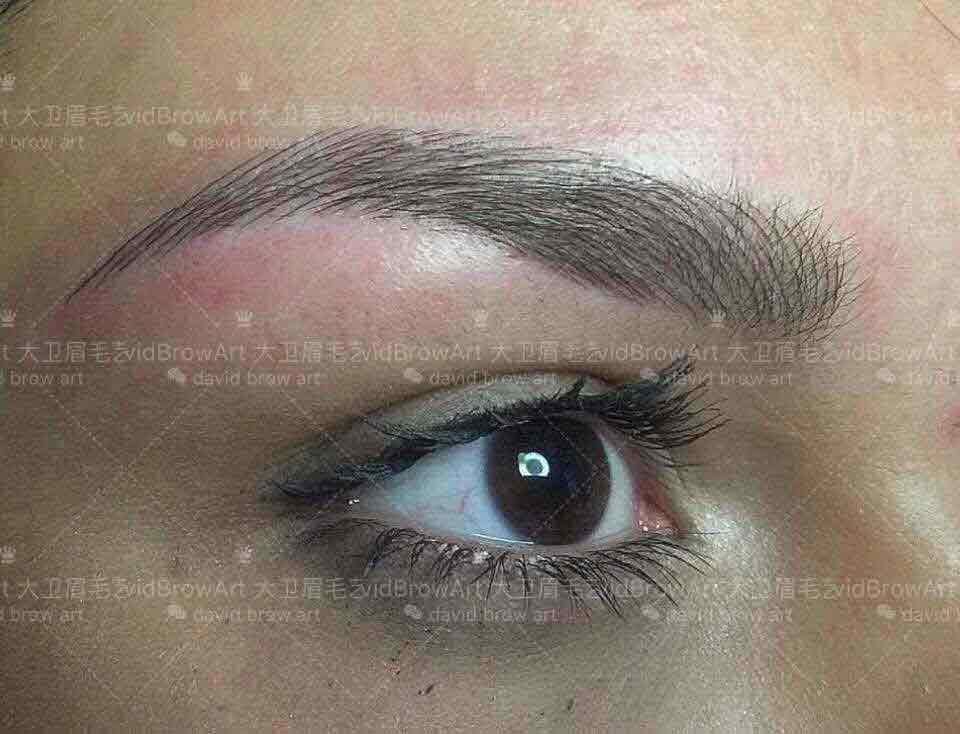 Learning from a Microblading Master