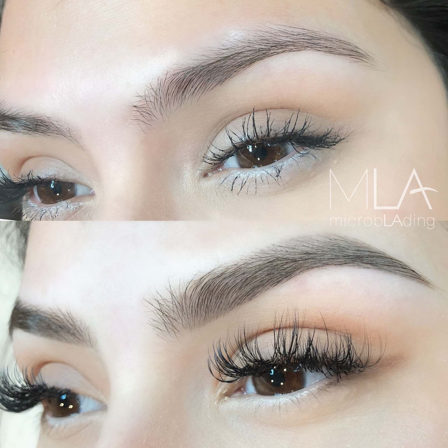 Microblading LA Signature Powder Brows